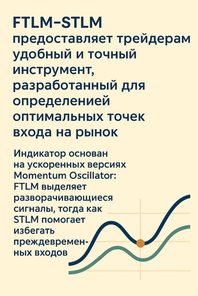 Описание FTLM‑STLM