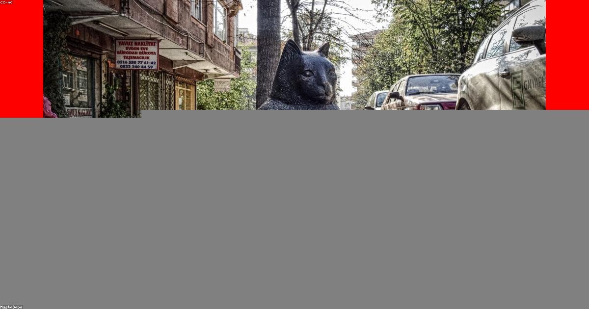 Как создать свой сервер на ПК для торговли на форекс