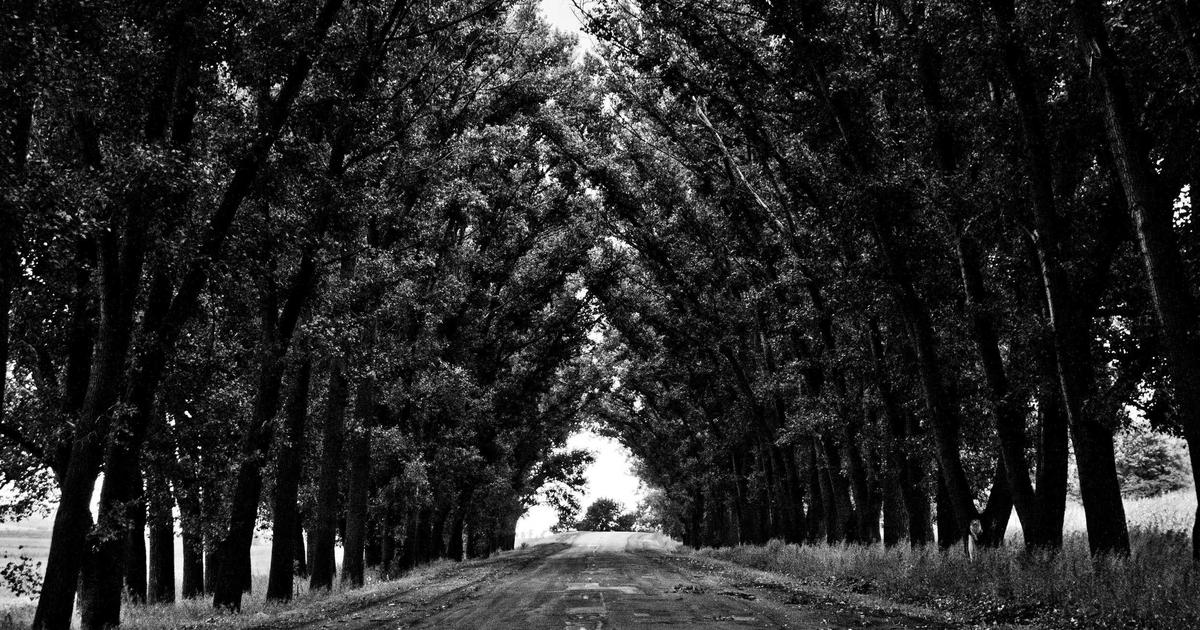 Книга биржевого спекулянта: настройка и сигналы