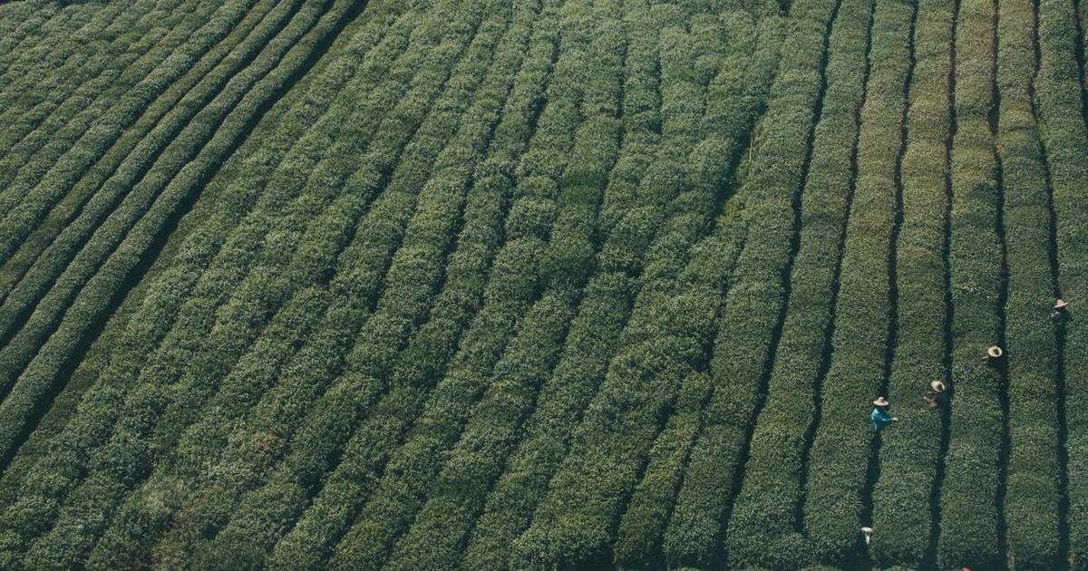 колл опцион — типичные ошибки трейдеров и как их избежать