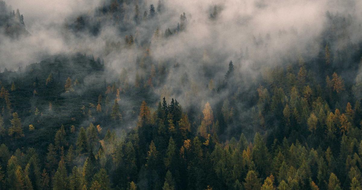 маржинальный калькулятор — практические примеры сделок на форекс