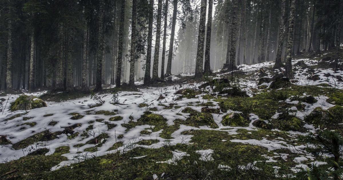 прайс экшн — оптимальные настройки параметров индикатора