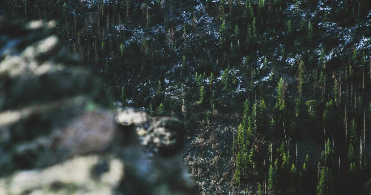 что такое проп в трейдинге — практические примеры сделок на форекс