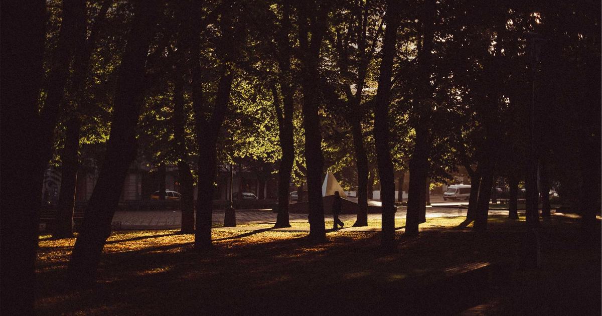 как избавиться от клипового мышления — принцип работы и торговые сигналы на форекс